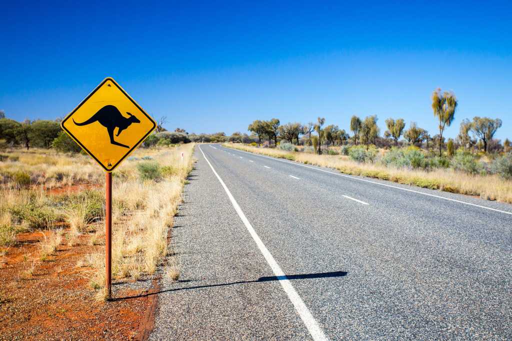 An australian iconic road sign with kangaroo showing a long road with bright blue sky